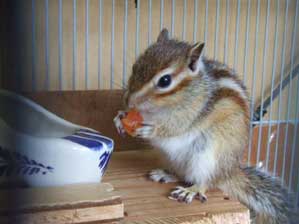 �����ł��I