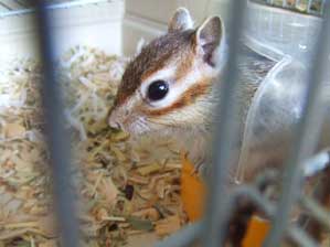 �܂��o��`�`