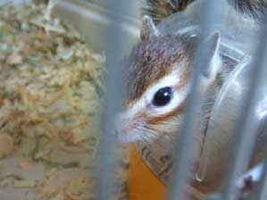 ���[�[�[�[