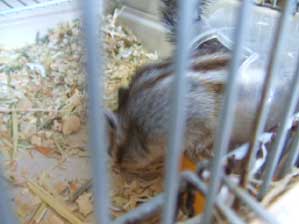 �I�������[