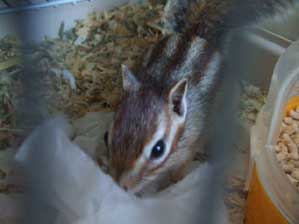 �@���@��