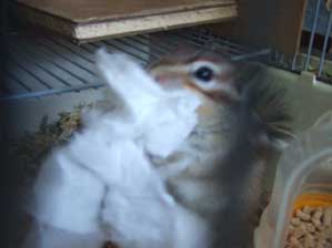 �H�ׂČ����܂��I