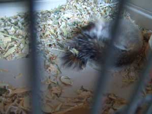 �O���O���O���O���[�[�[�I