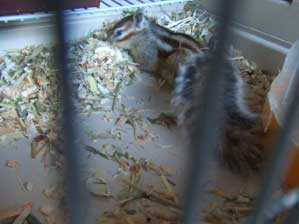 �������I