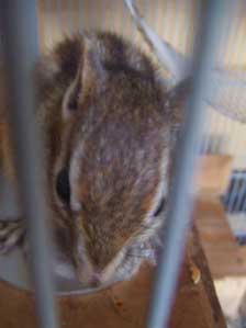 �����������`