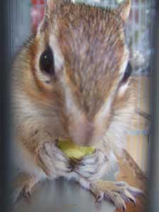 ���������`�`��