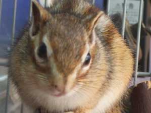 ����������Ɠ����Ȃ��I