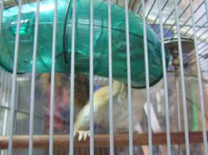 �������`�`��