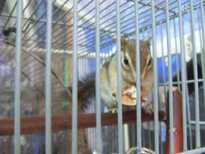 ���������I