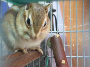 ���y���l�ł����I