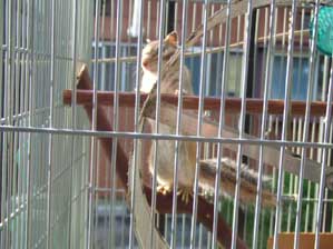 �t�̋C�z���������̂�I