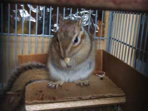 ����������`�@��낵�����Č����Ă����ĂˁB