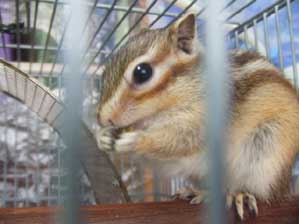 ���W���[�[�I