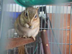 ����H�@���A�肪�����̂ˁI