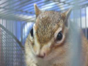 ����������@�K�^�K�^���Ȃ��ł�ˁI�@���͂悤�B