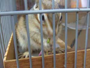 ����������`��