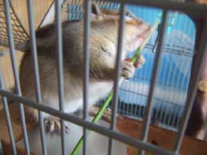 �����������`