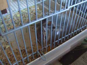 ���`�@�C����������`�`