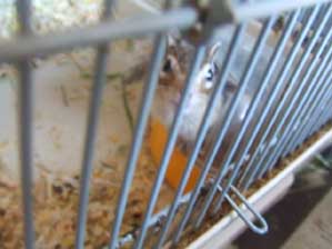 �܂��@�B���Ă����̂ˁI�I�I