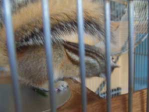 ���`�@�����񂾁@�����񂾁@