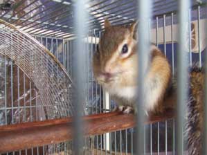 ���ււց@�B��邩�ȁ`