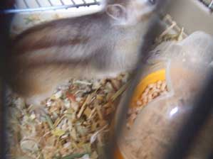 �����`�`