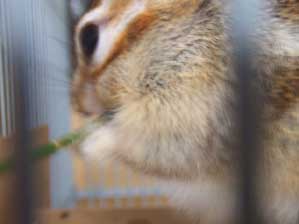 �n�n�n�n�n�`