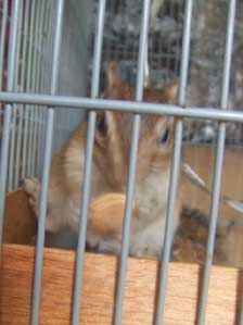 �������������I