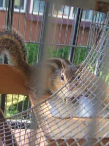 �����@�������낢���H�@������`��I