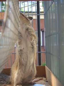 �E�j���b����`��I