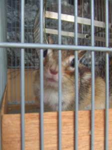 �W�[�[�[�I