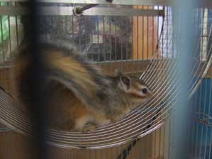 �܂��@�Ăюn�߂��@���������̂��ȁH