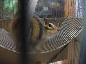 �U������������`�`