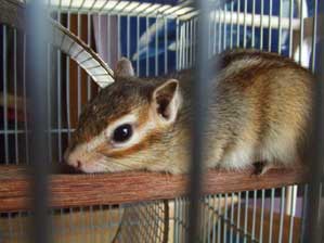 ������`��