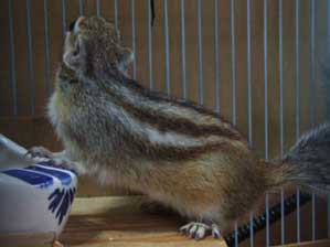 ���߁[�[�I