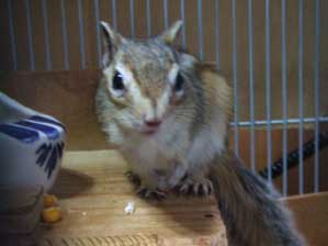 ���A���ъ��Ȃ̂Ł@�{�T�{�T�I