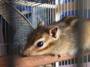 �撣��Ȃ��B