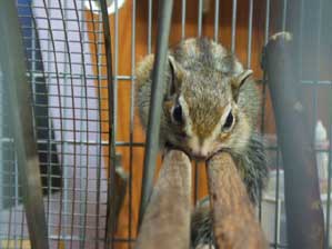 �����ā@�����񂾂���B