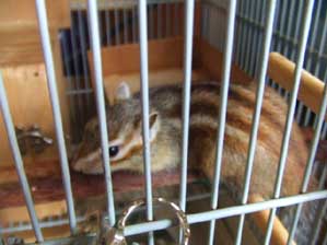 �����A�є�E�������I