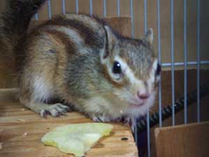 ������`��