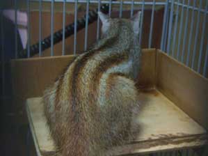 �Ӓn���B�B�B