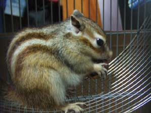 ���������`