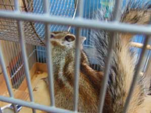 �ԓx�Ŏ����΁@�킩��炵���I