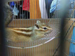 ���Ɂ@��������Ɨ������`�`��B�B�B