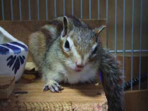 ����`��B�B�B