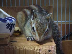 �����Ȃ�܂���悤��