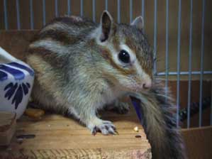 �Ȃ�ŁH�@�Ă�����H