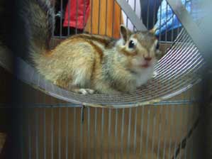 �����Ȃ�Ȃ��悤�Ɂ@������x�F���Ă����́B