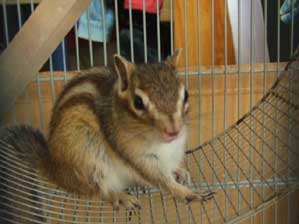 ����ς�@�����񂾂ˁI