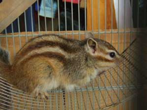 ��@�̕��͐��g���������Ȃ񂾂�ȁ`�@�G�A�R���̕��������ȁ`